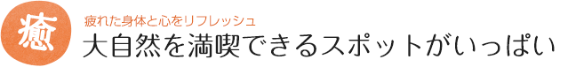 大自然を満喫できるスポットがいっぱい