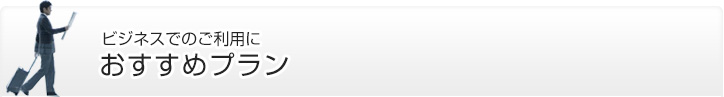 ビジネスでのご利用におすすめプラン